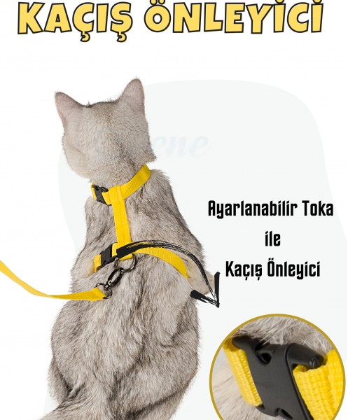 Sarı Kedi Tasması Boyun Göğüs Ayarlanabilir Sevk Kayışlı Gezdirme Seti